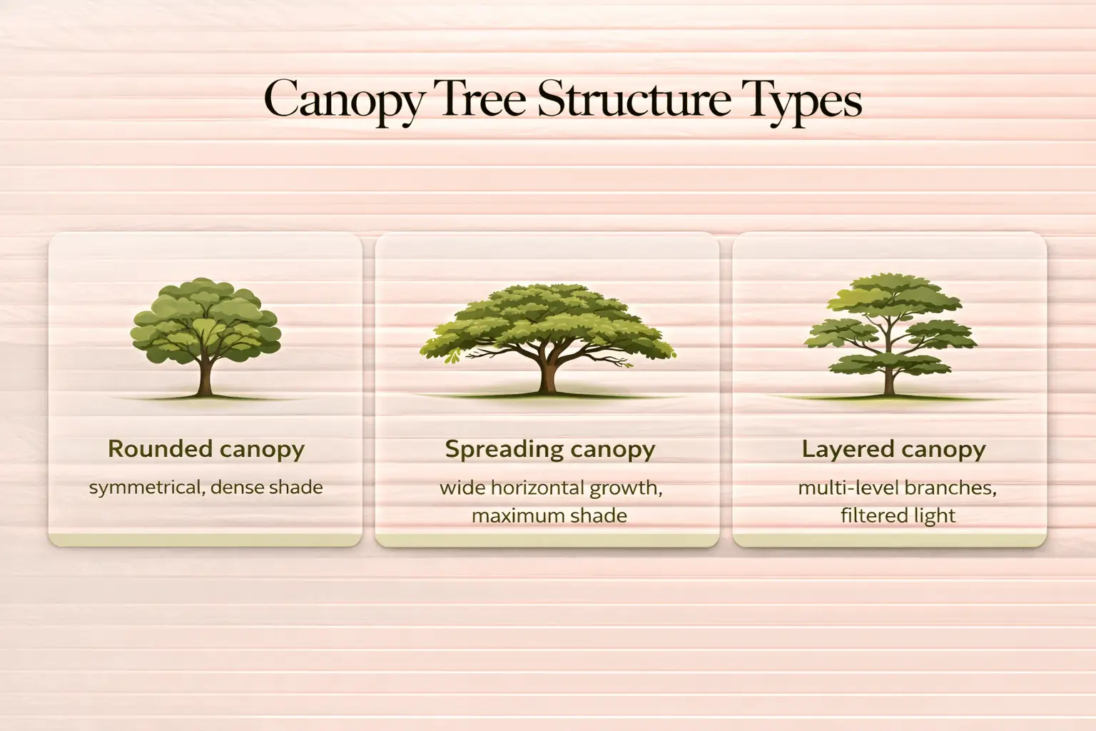tree with wide canopy