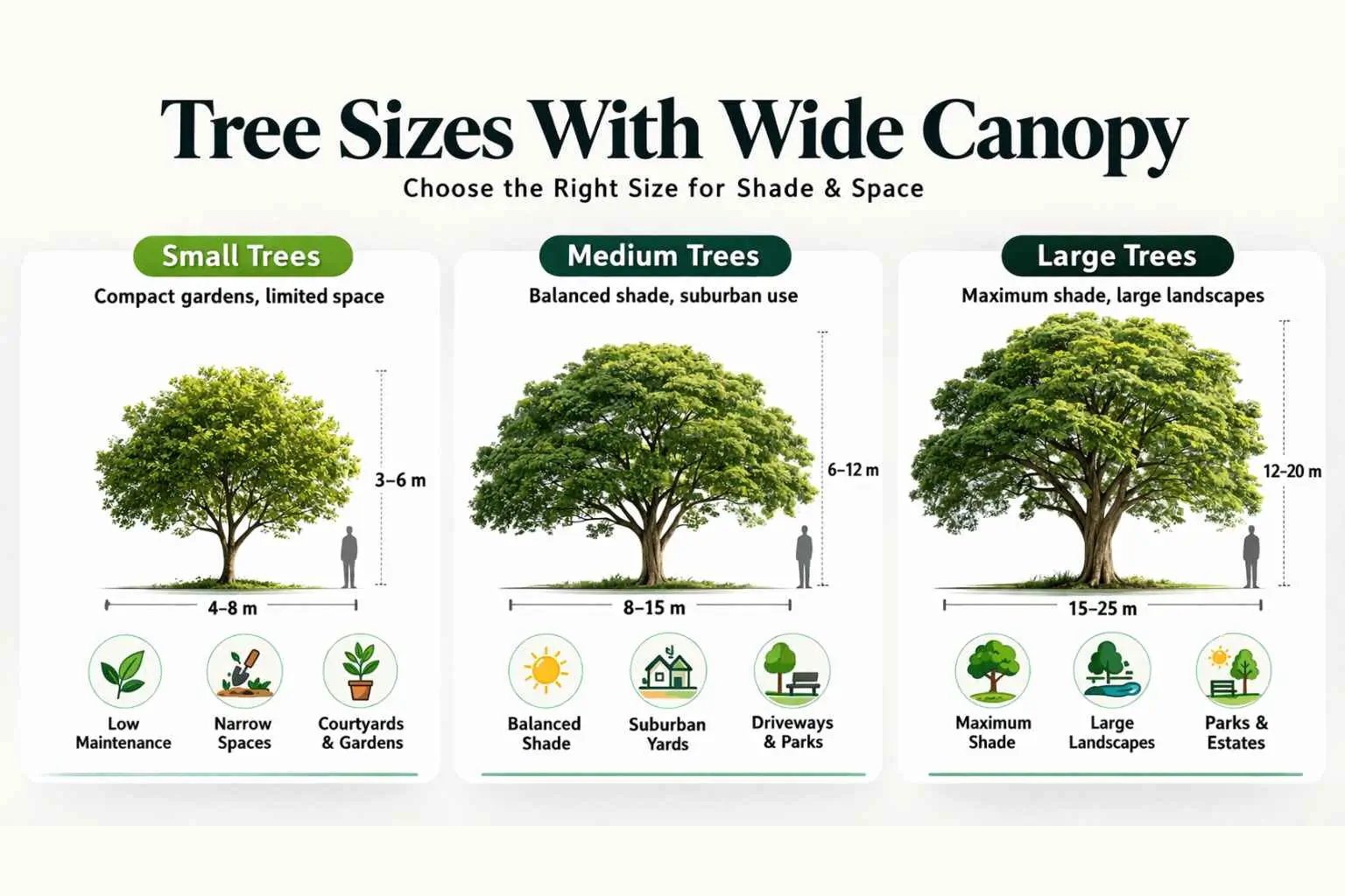 tree with wide canopy