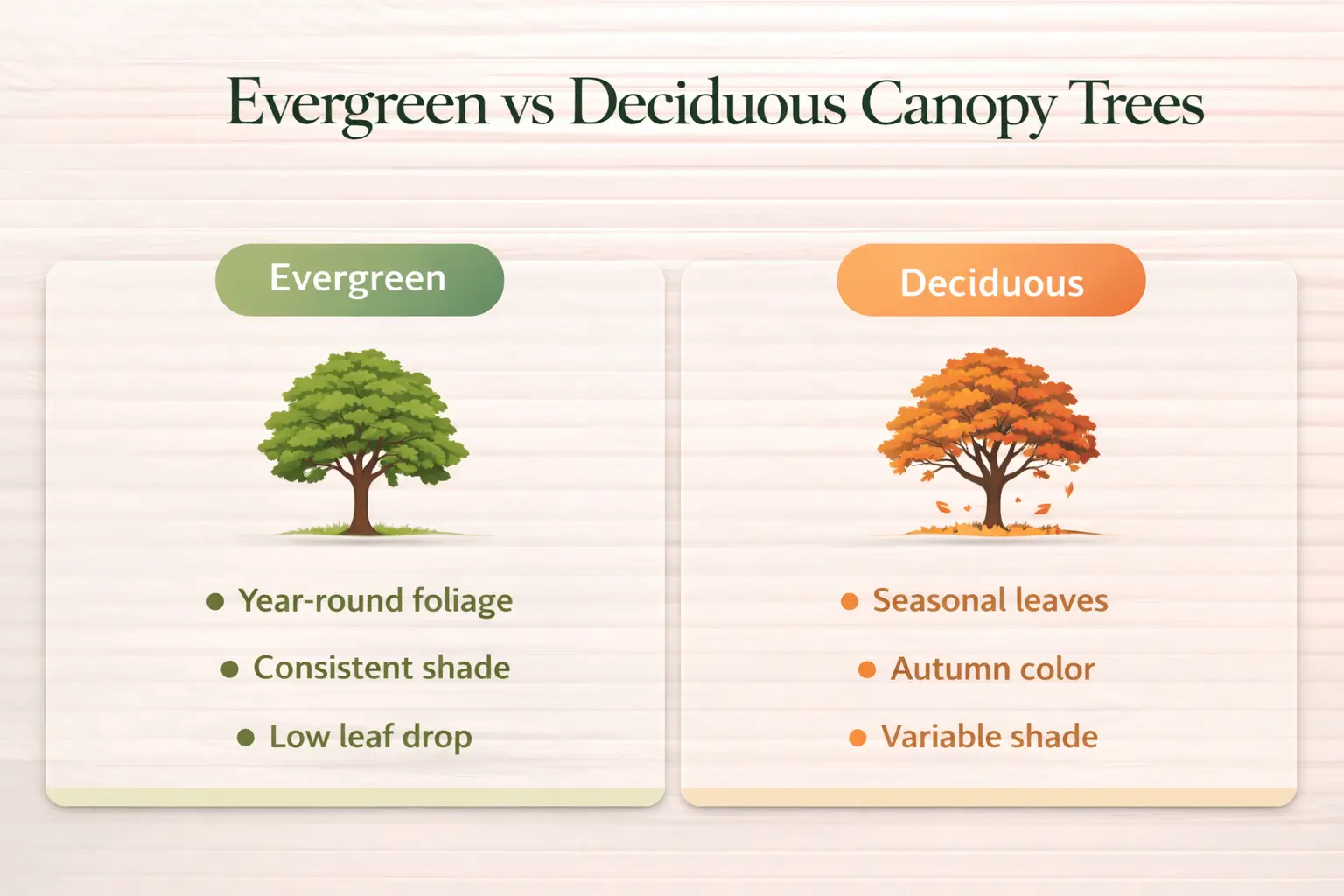 tree with wide canopy