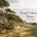 wind tolerant trees australia