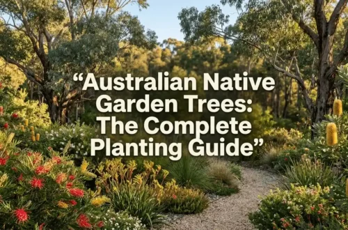 Australian native garden trees