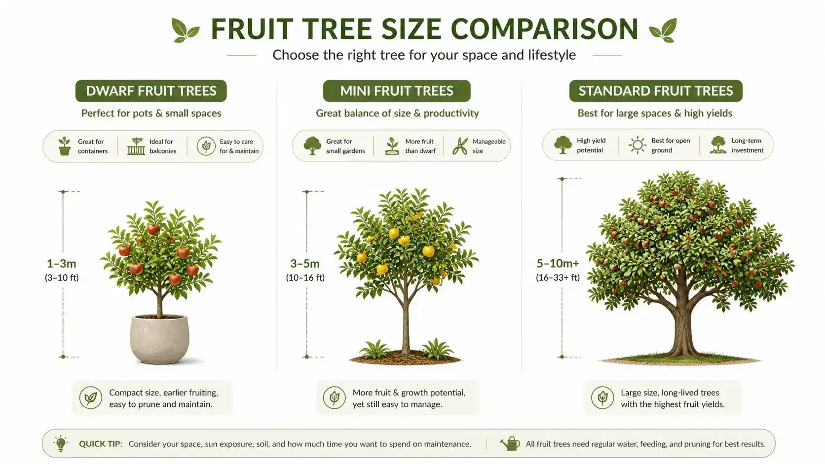 Dwarf Fruit Trees