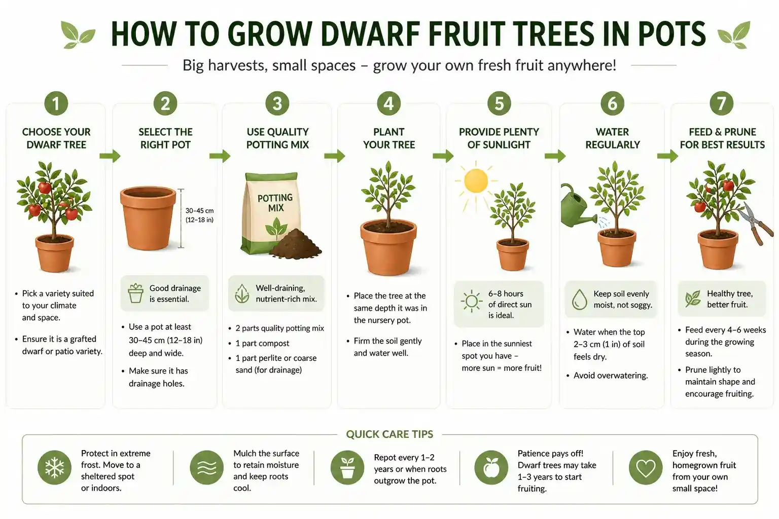 Dwarf Fruit Trees