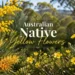 australian native yellow flowers
