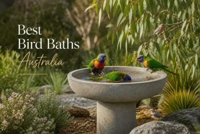 best bird baths australia