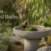 best bird baths australia