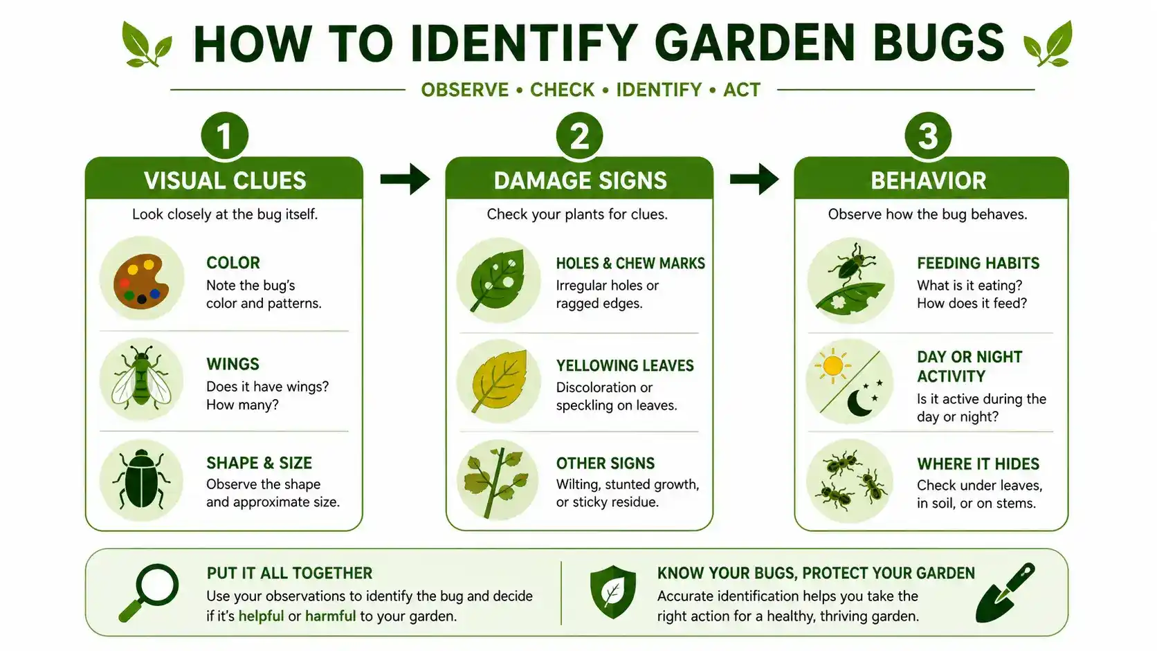 common garden bugs