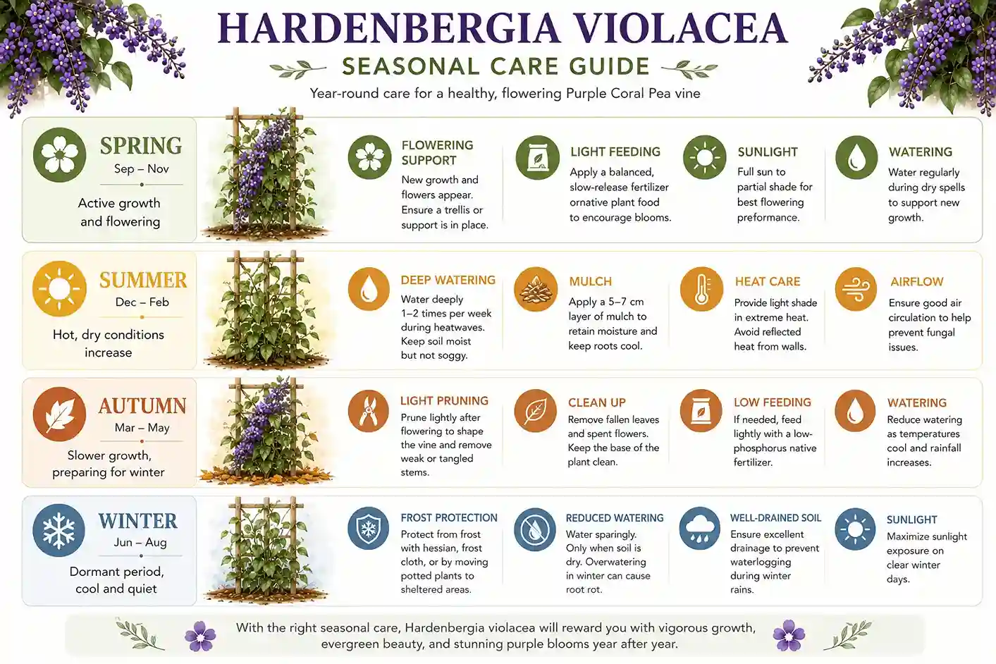 hardenbergia violacea