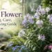 love flower