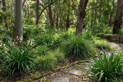 shade loving grasses