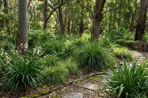 shade loving grasses