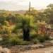 grass tree garden ideas