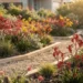 landscaping with kangaroo paws