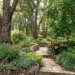 what to plant under trees australia